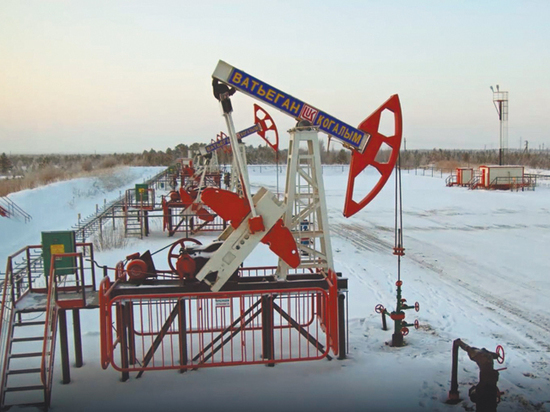 Российской нефти хватит лишь на 58 лет, заявил глава Роснедр Российской нефти хватит лишь на 58 лет, заявил глава Роснедр