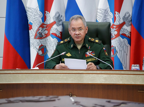 Шойгу обнародовал планы по защите российских интересов в Арктике Шойгу обнародовал планы по защите российских интересов в Арктике