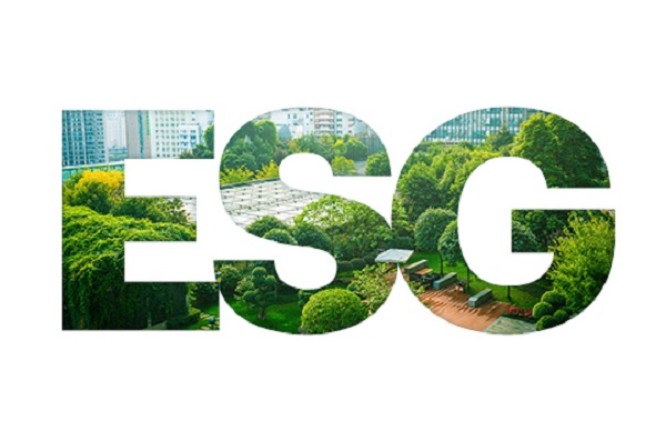 Зачем нужны российским компаниям ESG-стандарты Зачем нужны российским компаниям ESG-стандарты