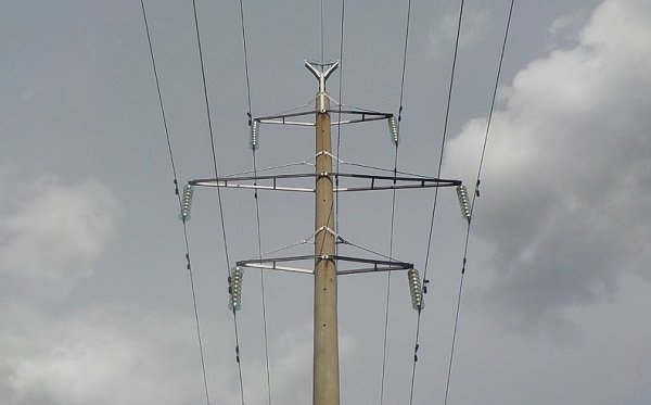   ѻ       