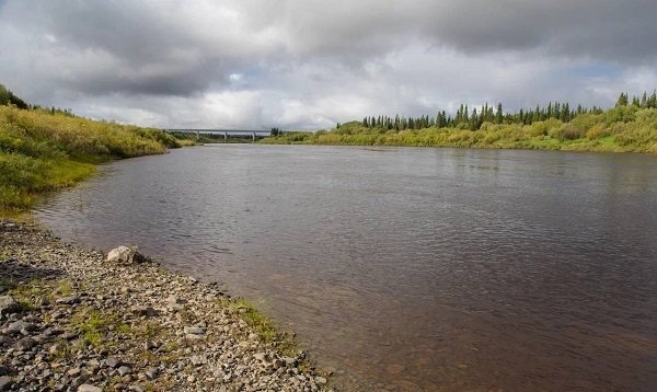 ЛУКОЙЛ доложилась о ликвидации последствий разгерметизации трубопровода на Ошском месторождении ЛУКОЙЛ доложилась о ликвидации последствий разгерметизации трубопровода на Ошском месторождении