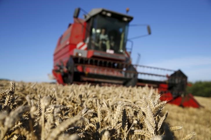 Россия в новом сельхозгоду увеличит экспорт пшеницы до 34,3 млн т, но уступит лидерство ЕС Россия в новом сельхозгоду увеличит экспорт пшеницы до 34,3 млн т, но уступит лидерство ЕС