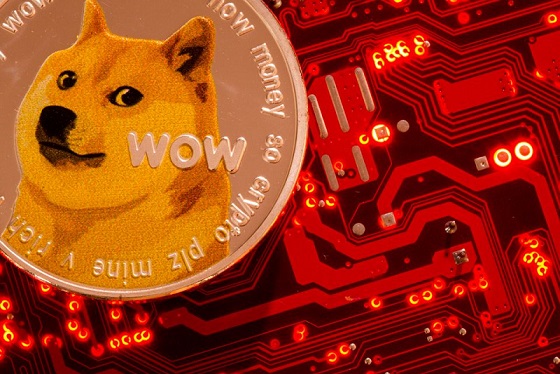 Инвестор подал в суд на Маска за «манипуляции» с Dogecoin