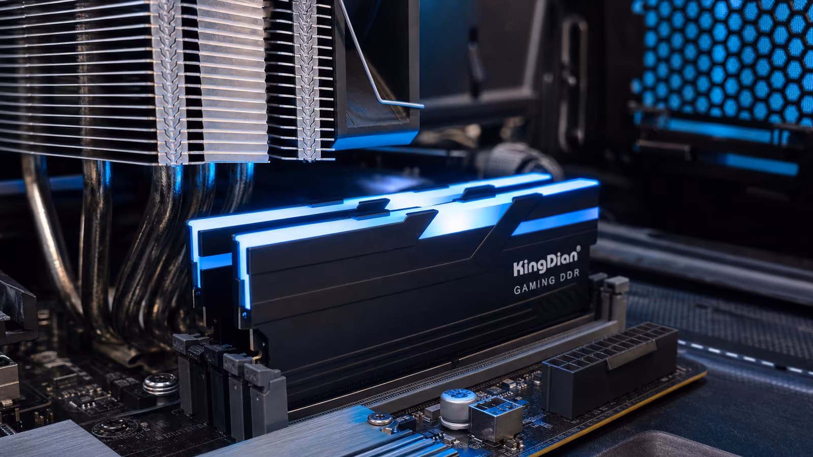 KingDian DDR5-5600 � DDR5-6400: ����� ��������� ������� ������