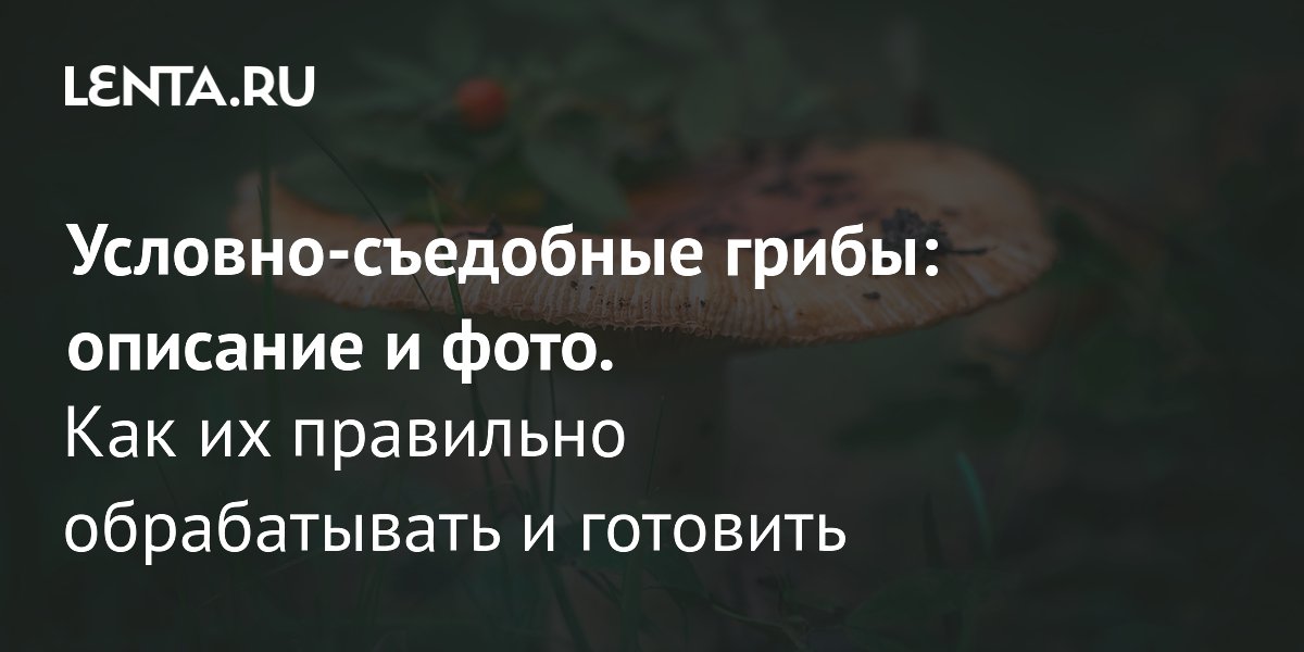 �������-��������� �����: ������ ������ ���� ������ � ��� ��������� ��������