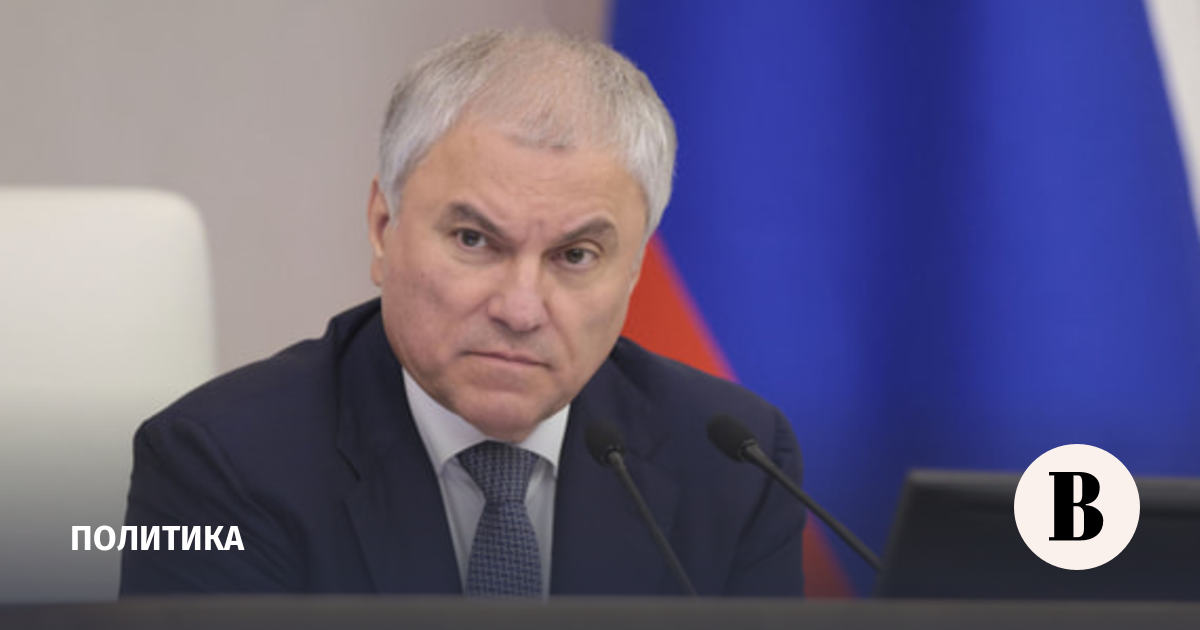 Володин перечислил новые поводы для депортации мигрантов