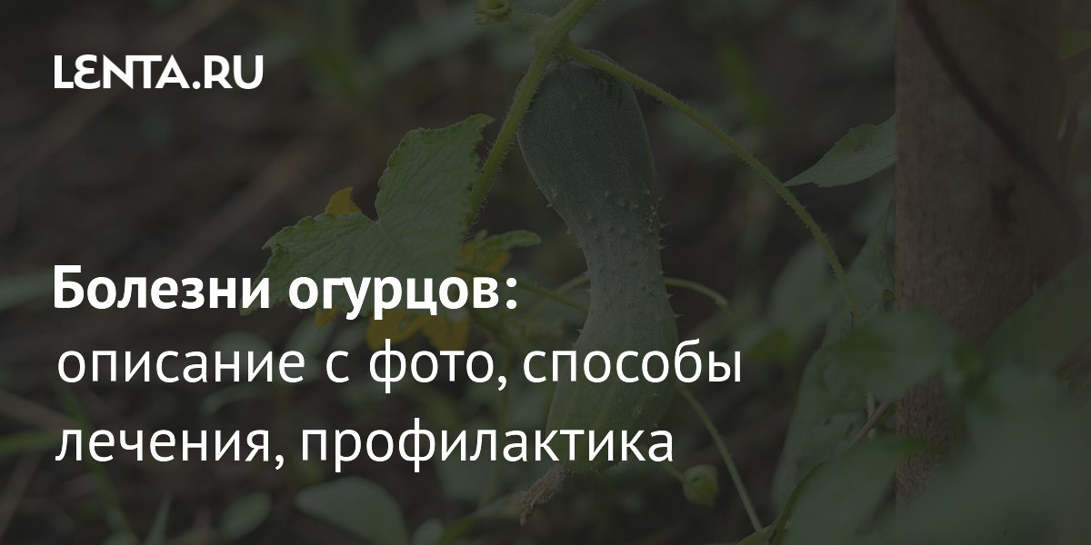 ������� �������: 14 ���������������� ������� � ��� � ���� ��������