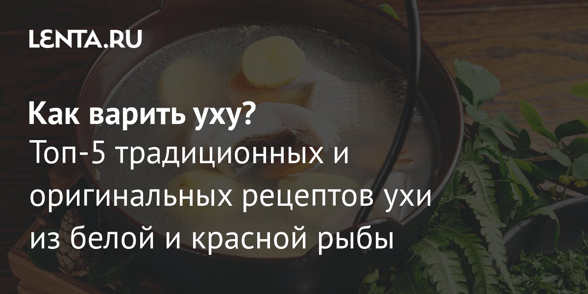 Топ-5 рецептов ухи: секреты наваристого бульона из белой и красной рыбы