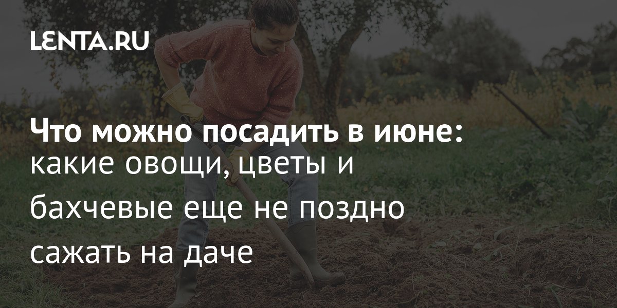 ��� �������� � ����: �����, ����� � �������� ��� ������ �� �������