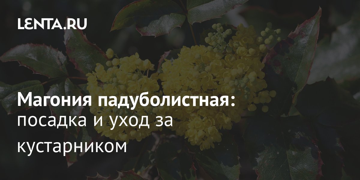 ������� �������������: ������������ ��������� � ������� ��� ���������� �����