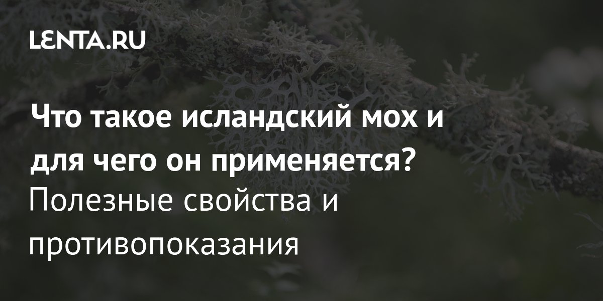 ���������� ���: ��������� �������� ��� ����������� � ��������������� ������
