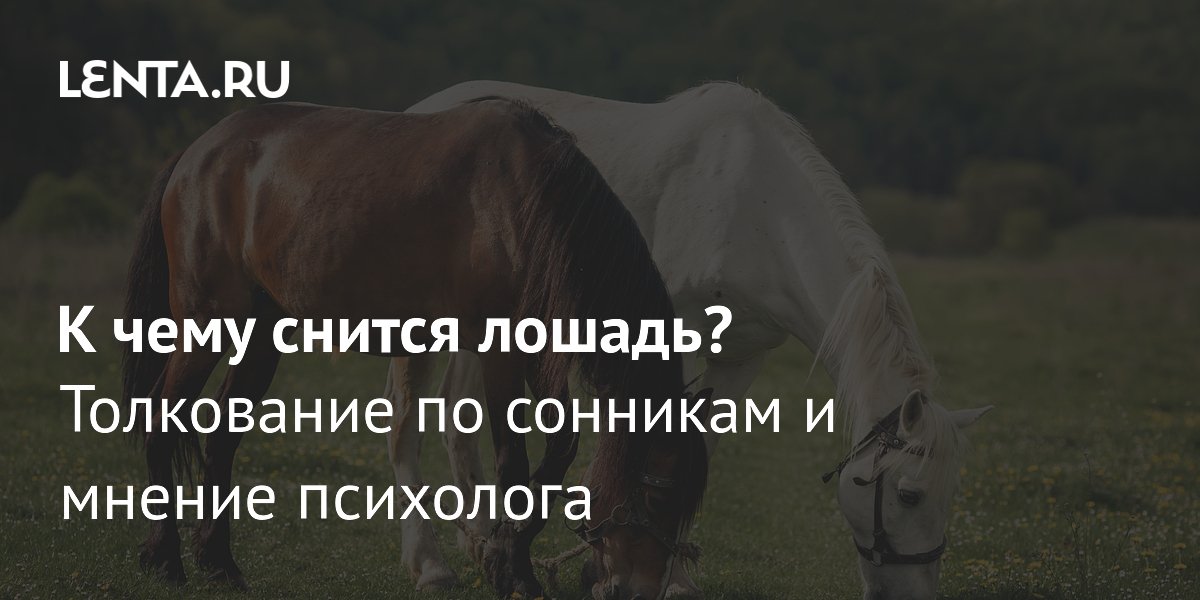 Психологи объяснили, к чему снятся лошади: от дикого жеребца до послушной кобылы