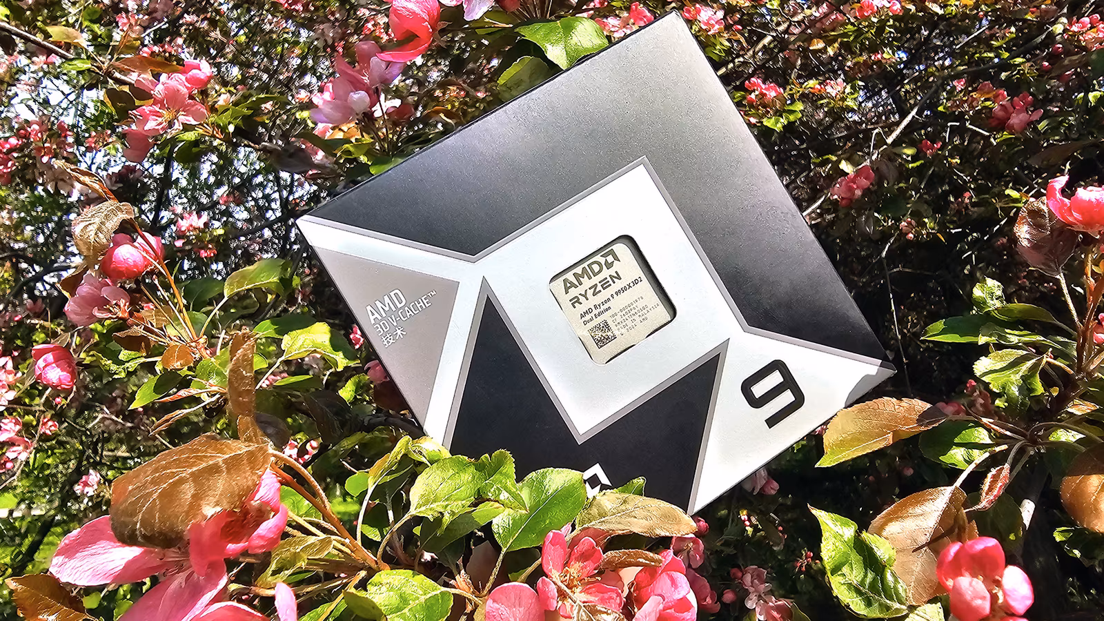 AMD Ryzen 9 9950X3D2: флагман с 3D V-Cache для платформы AM5