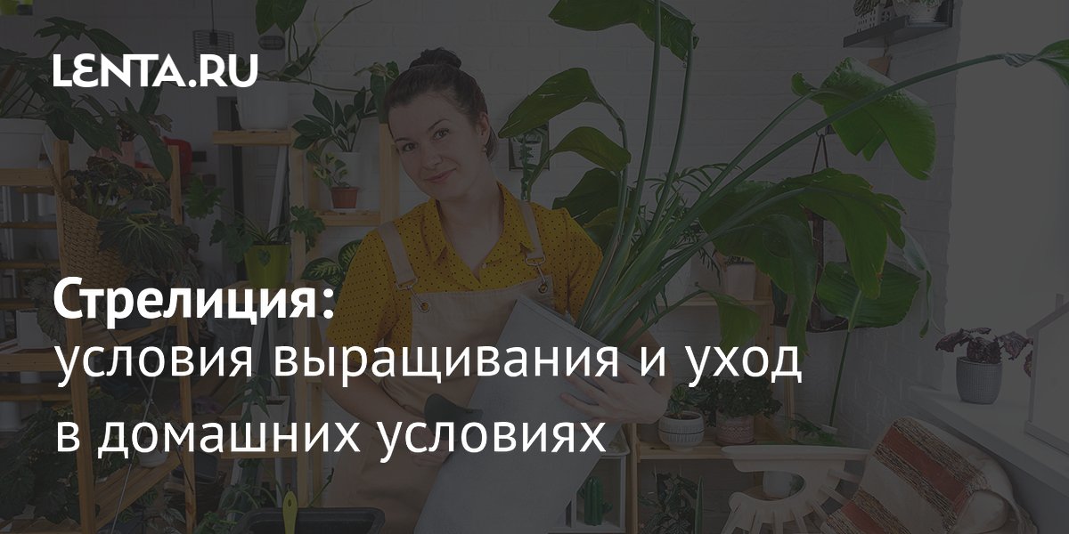 ���������: ��� ��������� ����������� �������� � �������� ��������