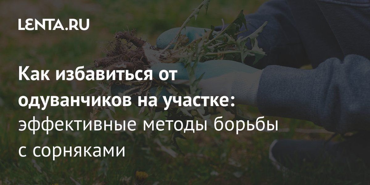 ��� ���������� �� ����������� �� �������: ����������� ������ ������