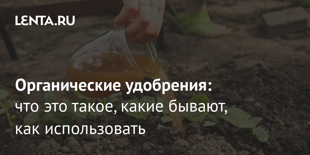 ������������ ���������: ����� �� ����� �� ����� �������� �������