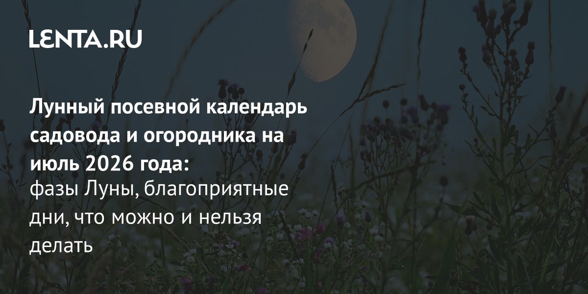 ����������� ������ �������� ��������� �� ���� 2026 ����: ������������� ��� ��� ���������