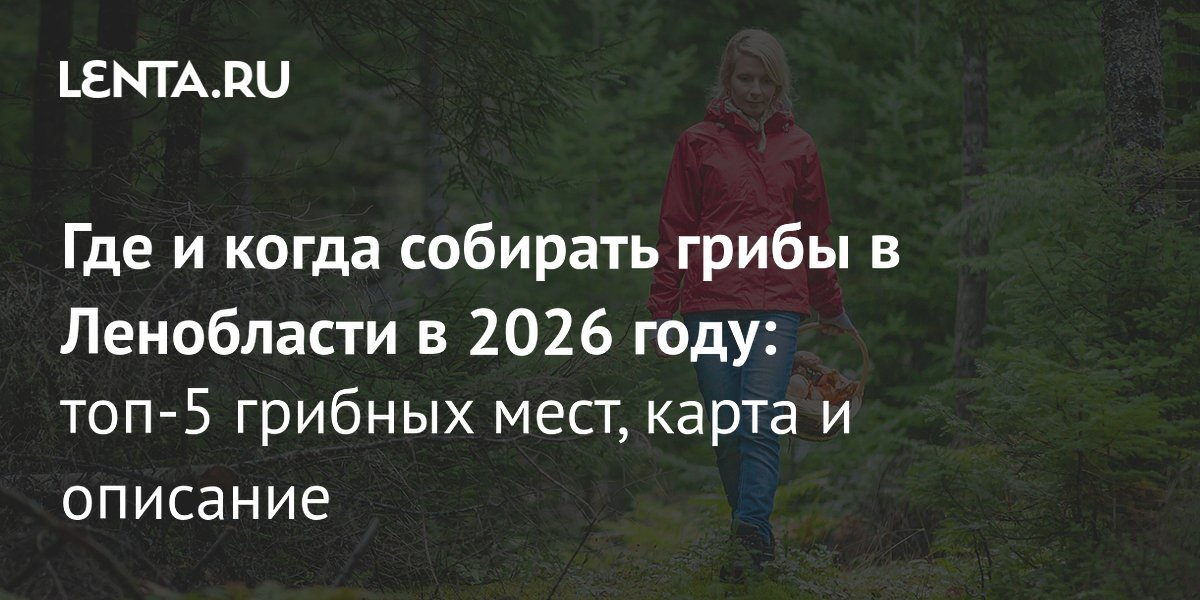 ������� ������ ������� ����� ���������� � 2026 ����: ���-5 � ������