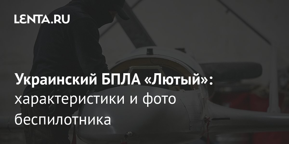 БПЛА «Лютый»: характеристики, стоимость и производство украинского дрона-камикадзе