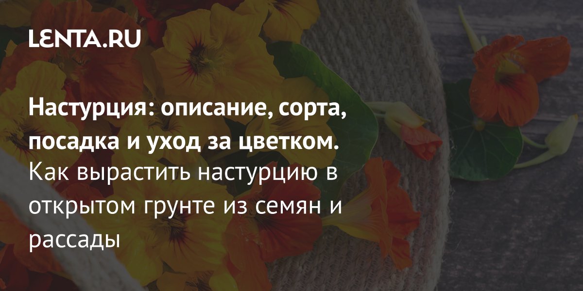 ���������: ��� ��������� ���������� ������ � �������� ������