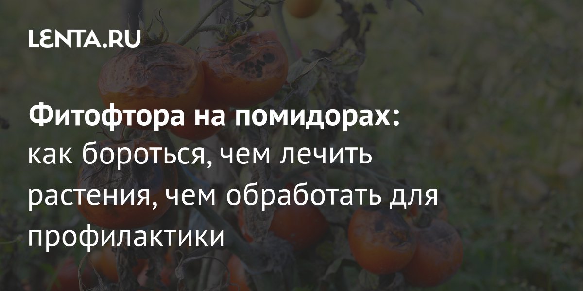 ��������� �������: ��� ����������, ������ � ������������� �������