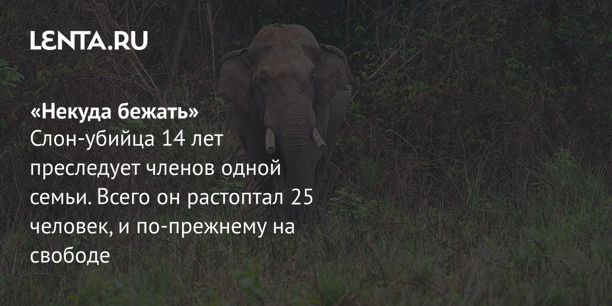 ���������� ���� ������ ���� 25 ������� �� 14 ��� � �������� �� �������