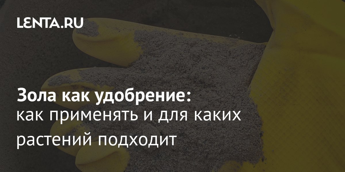 Древесная зола как удобрение: свойства, применение и польза для растений