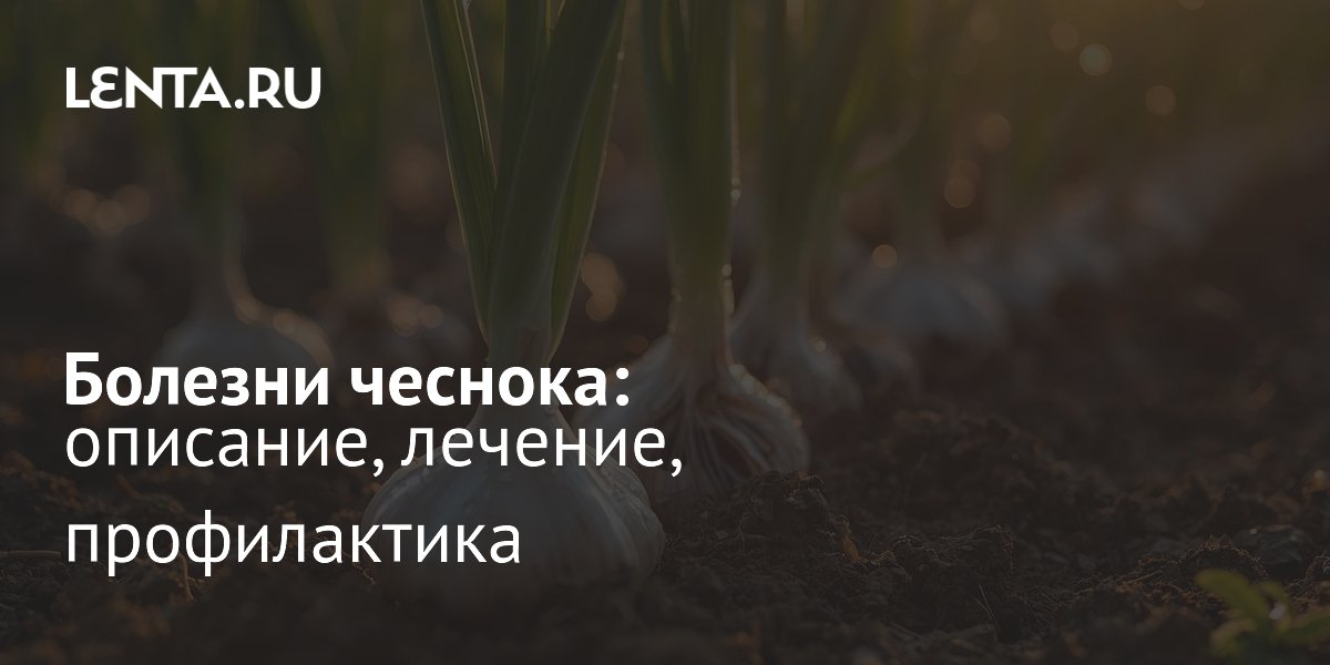 ������� �������: ��������, ������� � ������������ ��� ���������� ������
