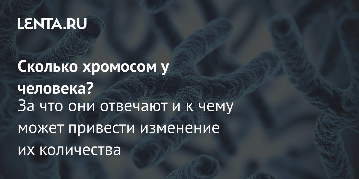 46 хромосом у человека: за что отвечают и чем опасны отклонения