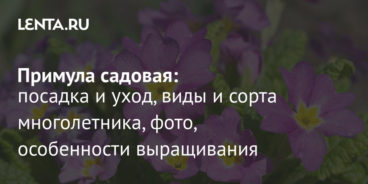 ������� �������: ������� � ���� �� �������������