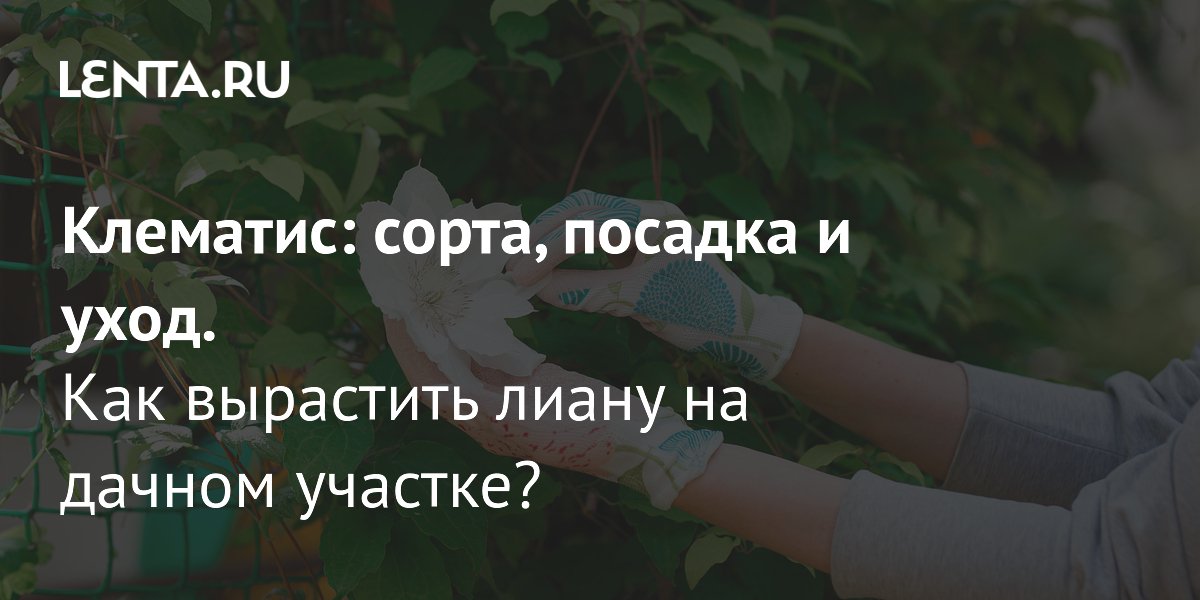 �������� �������� ������������ � ������: ����� ����� �������� ��� ������� ������