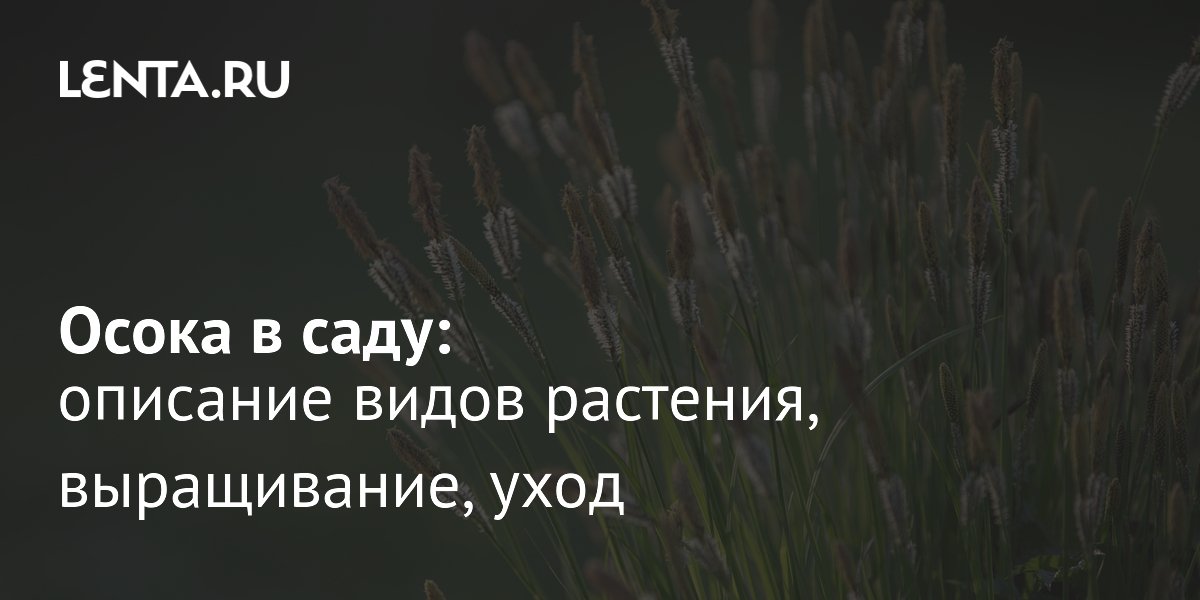 ����� � ����: ����, ����������� � ������������� ����������