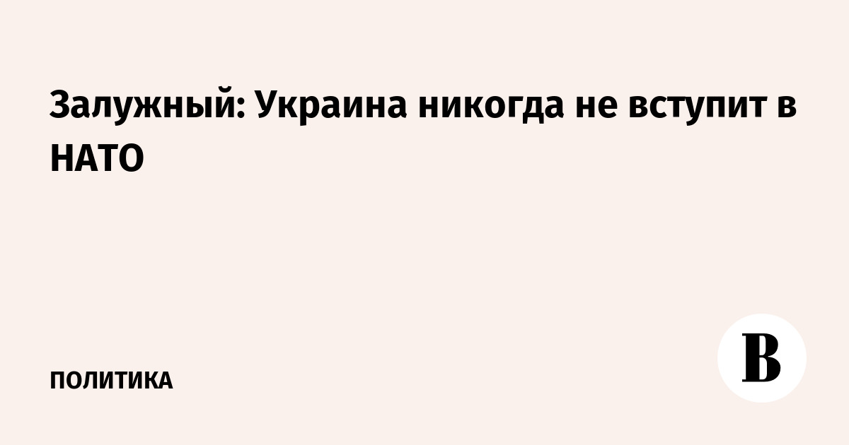 Залужный исключил вступление Украины в НАТО