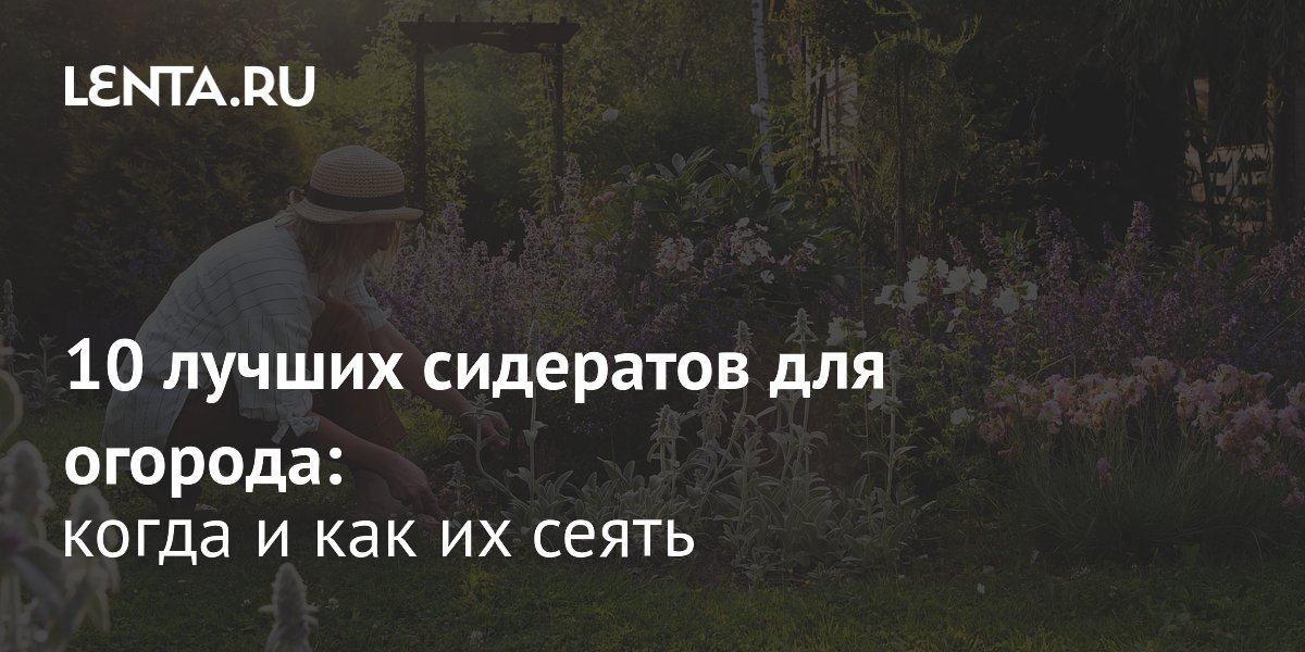 ����� �������� ������� ��� �������: ��� ������� ��������� �������� �����