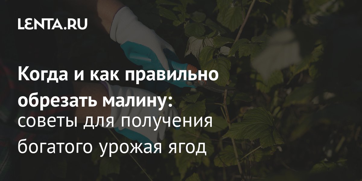 ������� ������: ��� �������� ����������� � ���������� �����