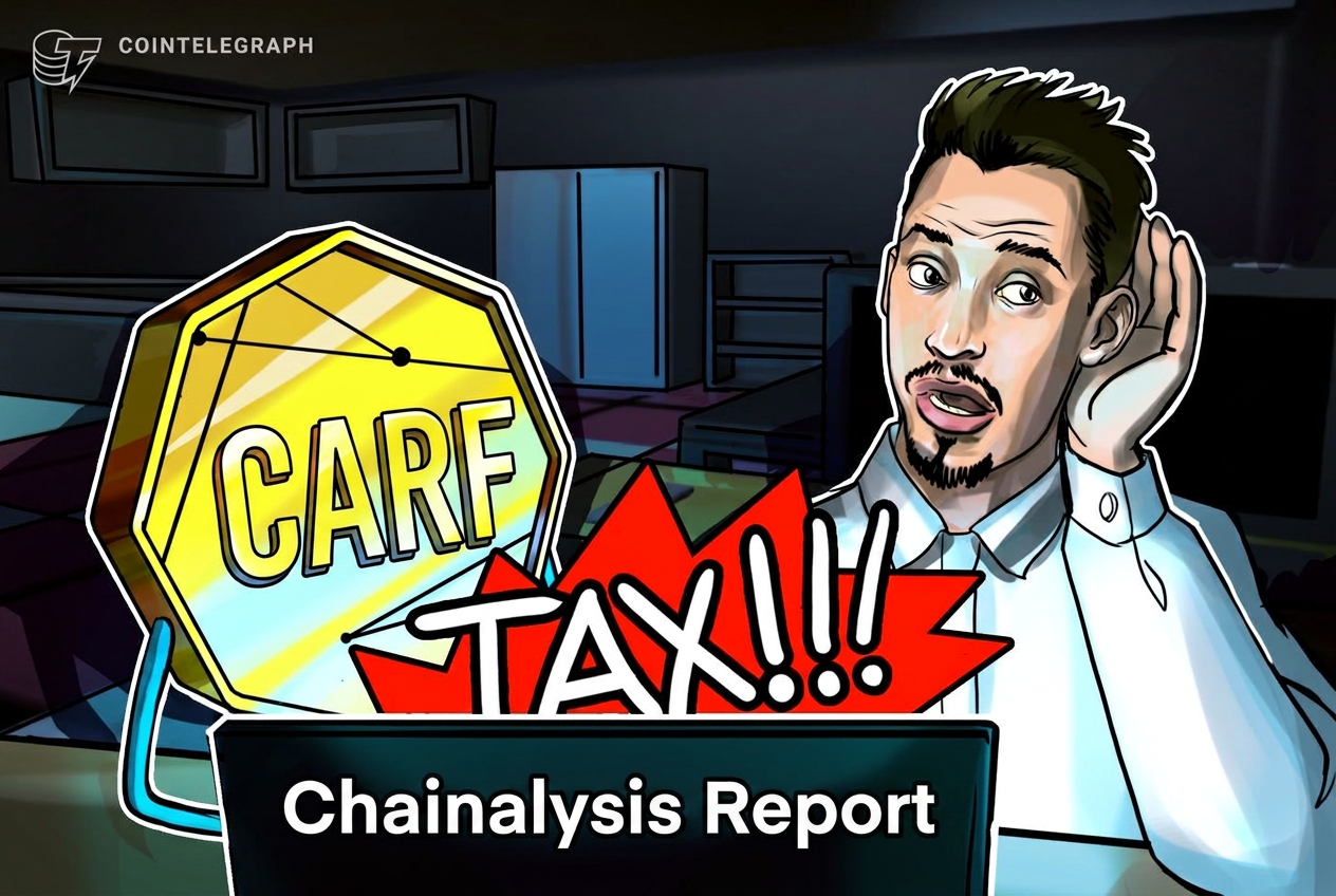 Chainalysis: CARF ���������� ���� 14% ���������������� ���������������� � $457 ����