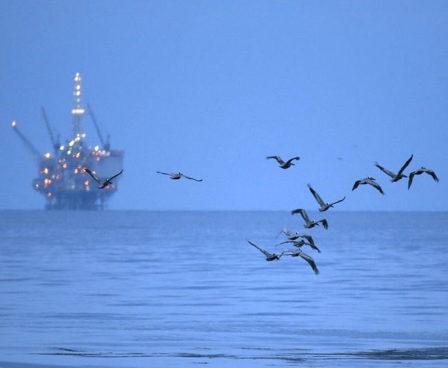 Фьючерсы на нефть WTI подорожали в ходе азиатских торгов Фьючерсы на нефть WTI подорожали в ходе азиатских торгов