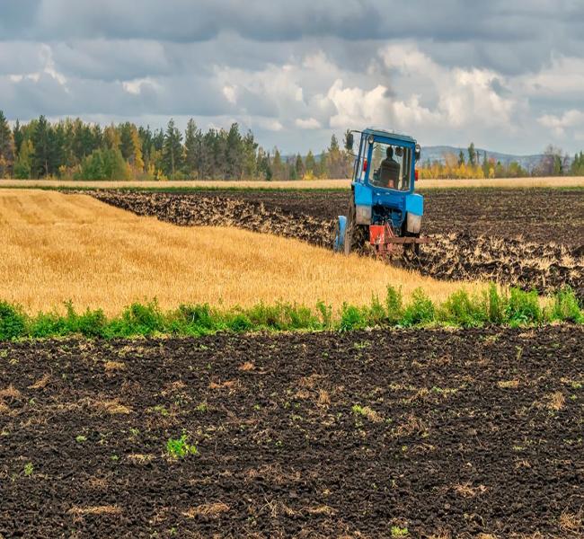Подмосковный суд не стал изымать у структуры Потанина землю под Клином Подмосковный суд не стал изымать у структуры Потанина землю под Клином