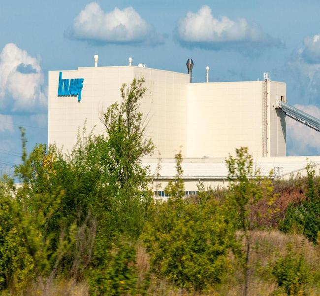 Knauf      