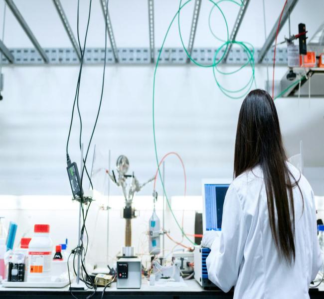 Качественный рост: как государство помогает развиваться малому бизнесу Качественный рост: как государство помогает развиваться малому бизнесу