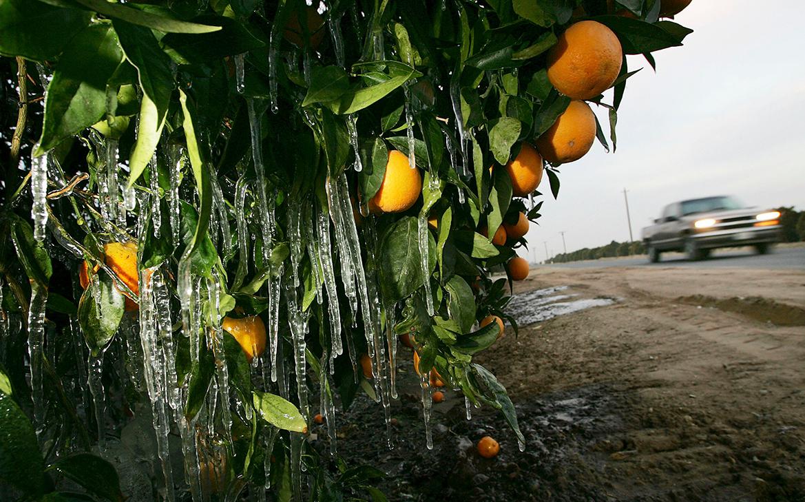 ������������ ��� ���������� ������ �� ���������� ��-�� ������� ����������