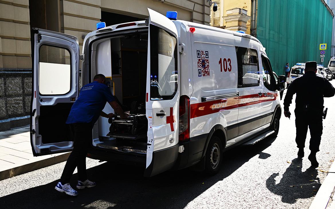 ���� ������� � �������� � ���������� �������� � ����� Wildberries