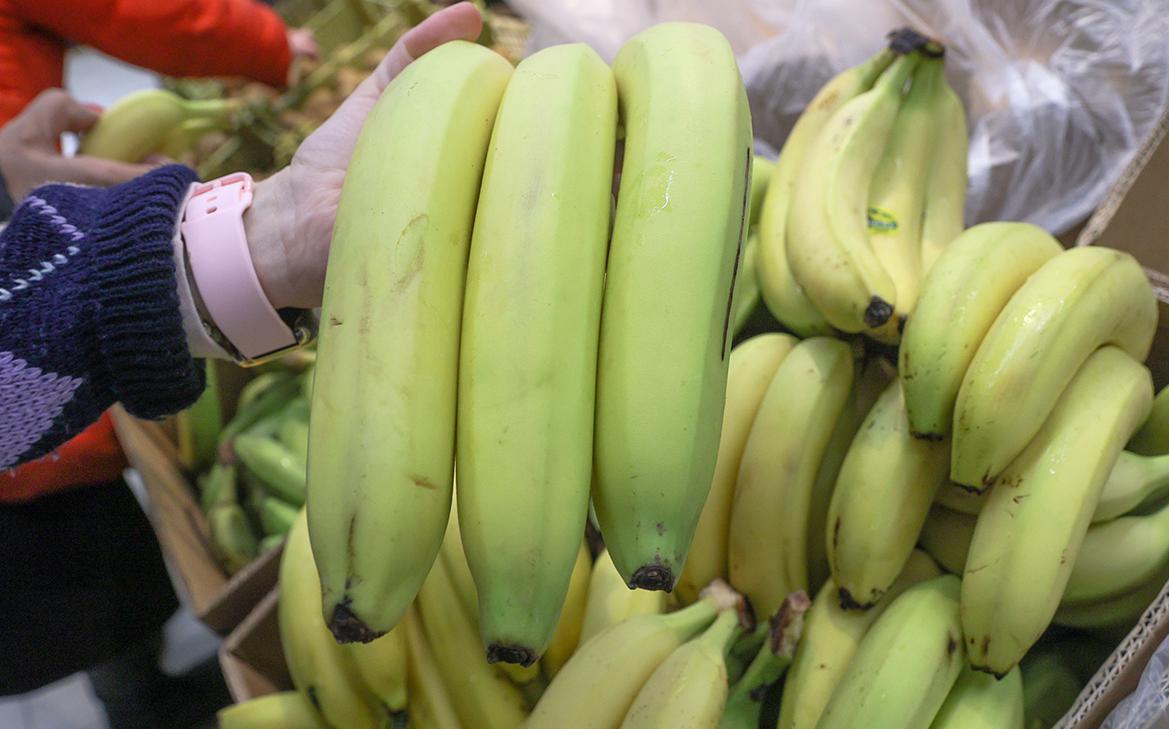 ������ ��������� ���� ������� �� �������� �� 12-������� ��������