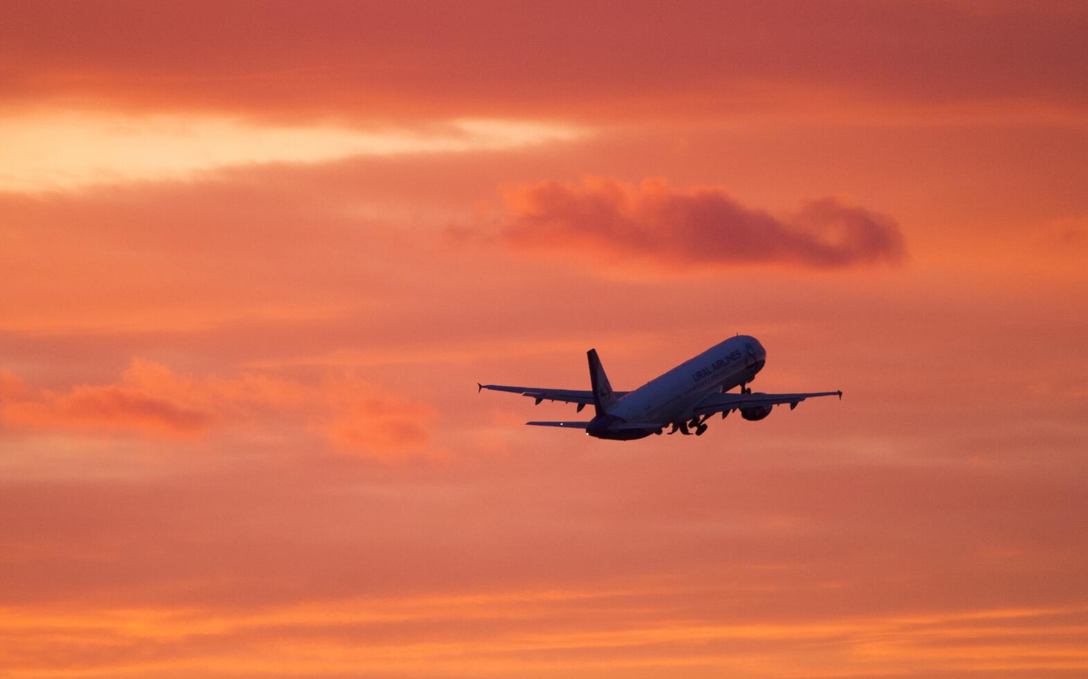 ������������ ������������ �� ������ ����������� ��-�� ������ �� ������