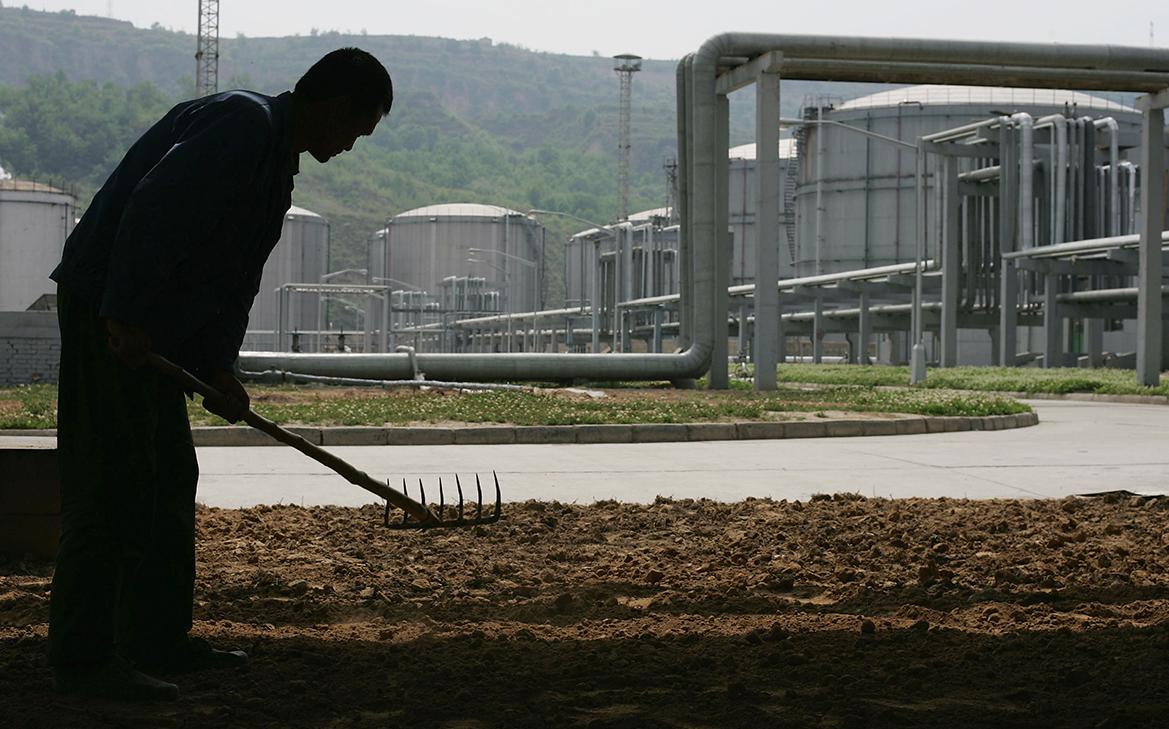 �������� ������ ���� ����������� ���� � ����