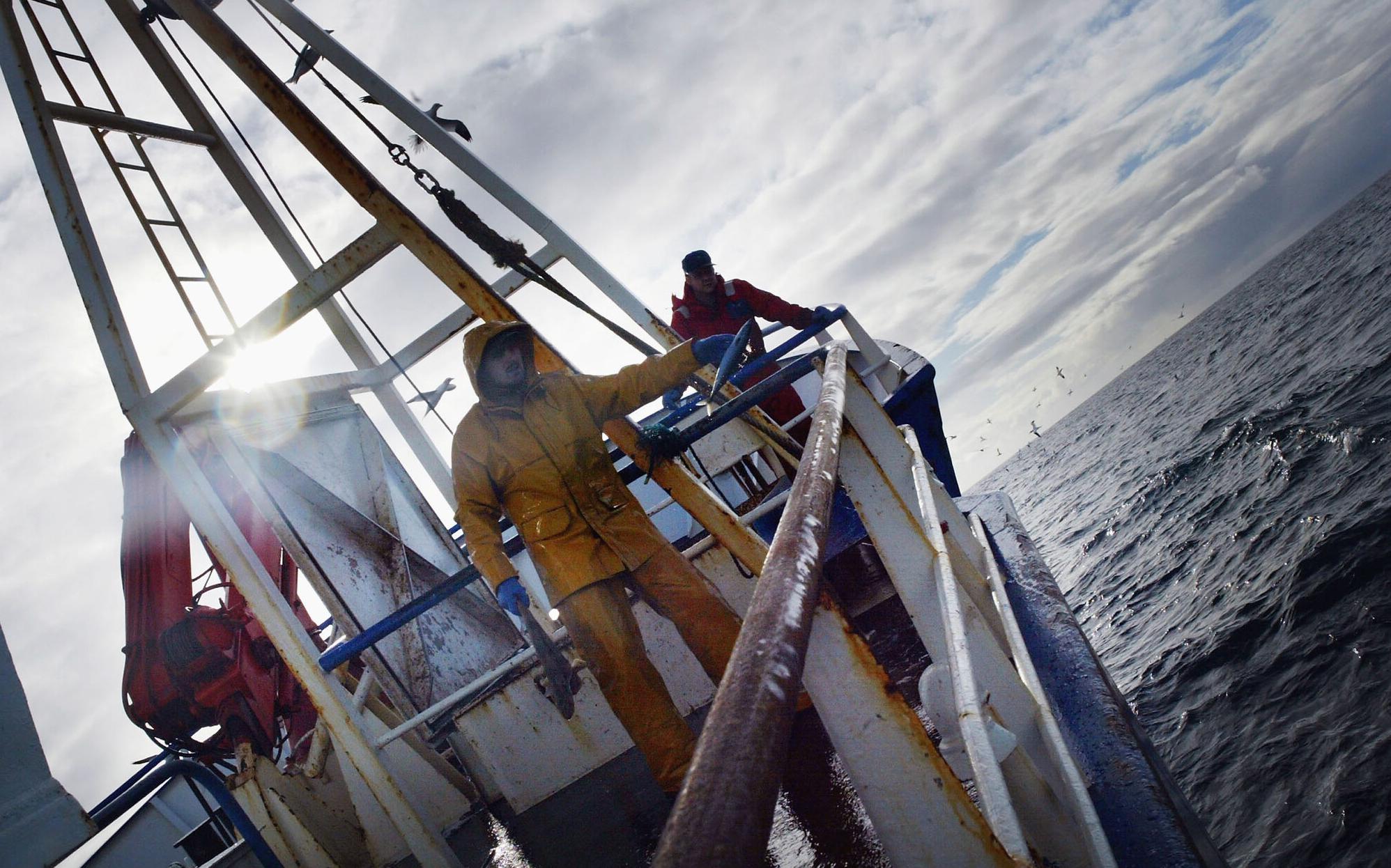 ����������������� ��������� ���������� ������� �����