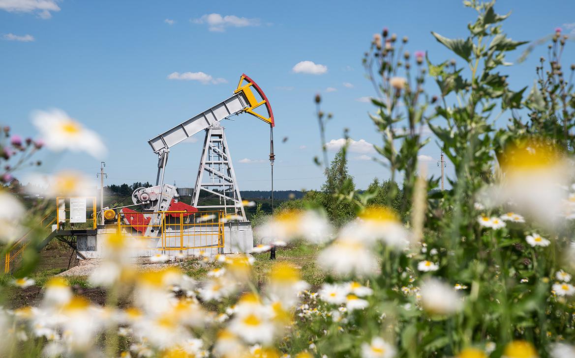 ����+ ������������ �� ���������� ������ ����� �� ���� �������� ������