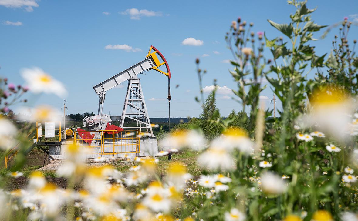 ����+ ������������ �� ���������� ������ ����� �� ���� �������� ������