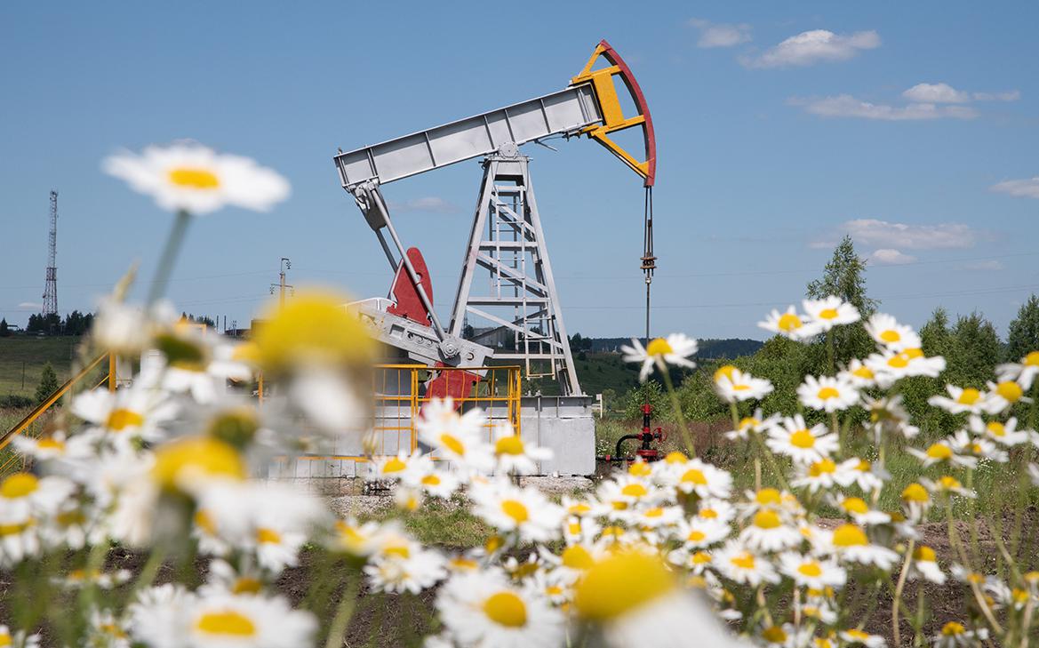 ESG-�������� ��������� ���� ���������� ��� ������� ��� ������� �������