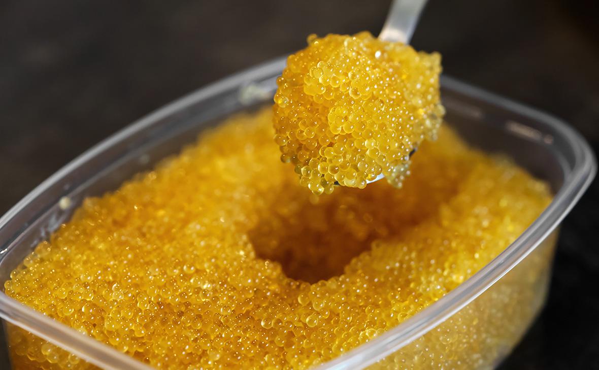 Продажи щучьей икры выросли в семь раз при снижении улова щуки Продажи щучьей икры выросли в семь раз при снижении улова щуки